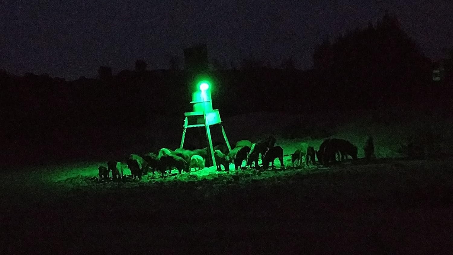 Solar Powered Hog Light, Elusive Wildlife Green Feeder Light, Motion Activated