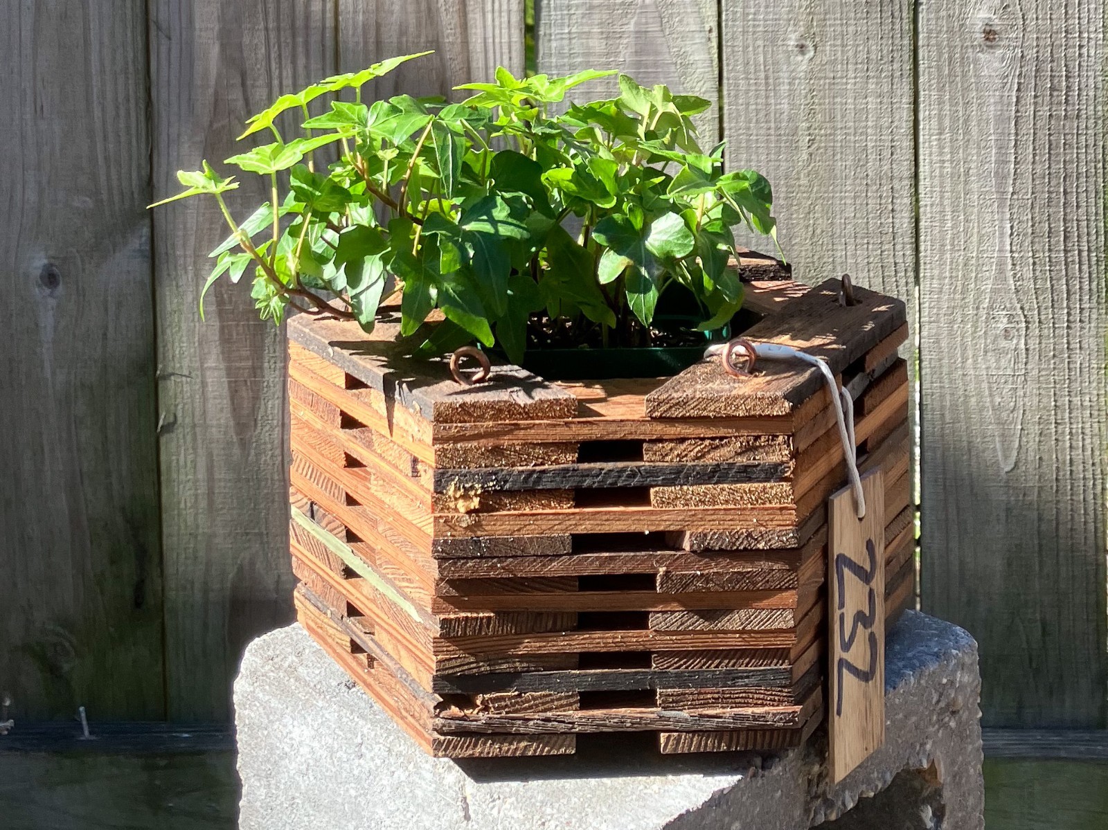 Handmade Hexagonal Rustic Hanging Basket – Super Character for Orchids & Epiphyt