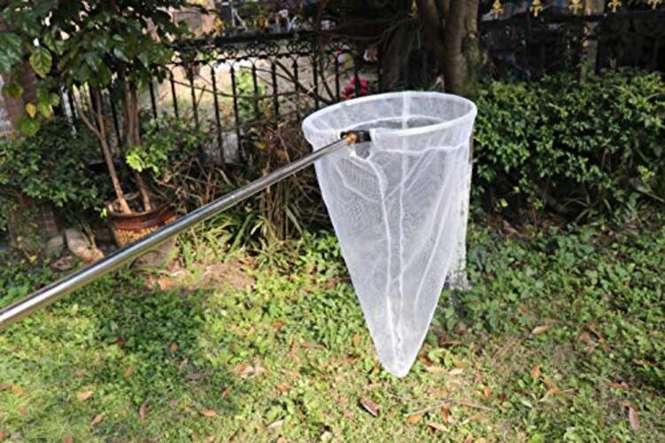 Insect and Butterfly Net with 12" Ring, 24" Net Depth, 12" Ring, 59" Handle