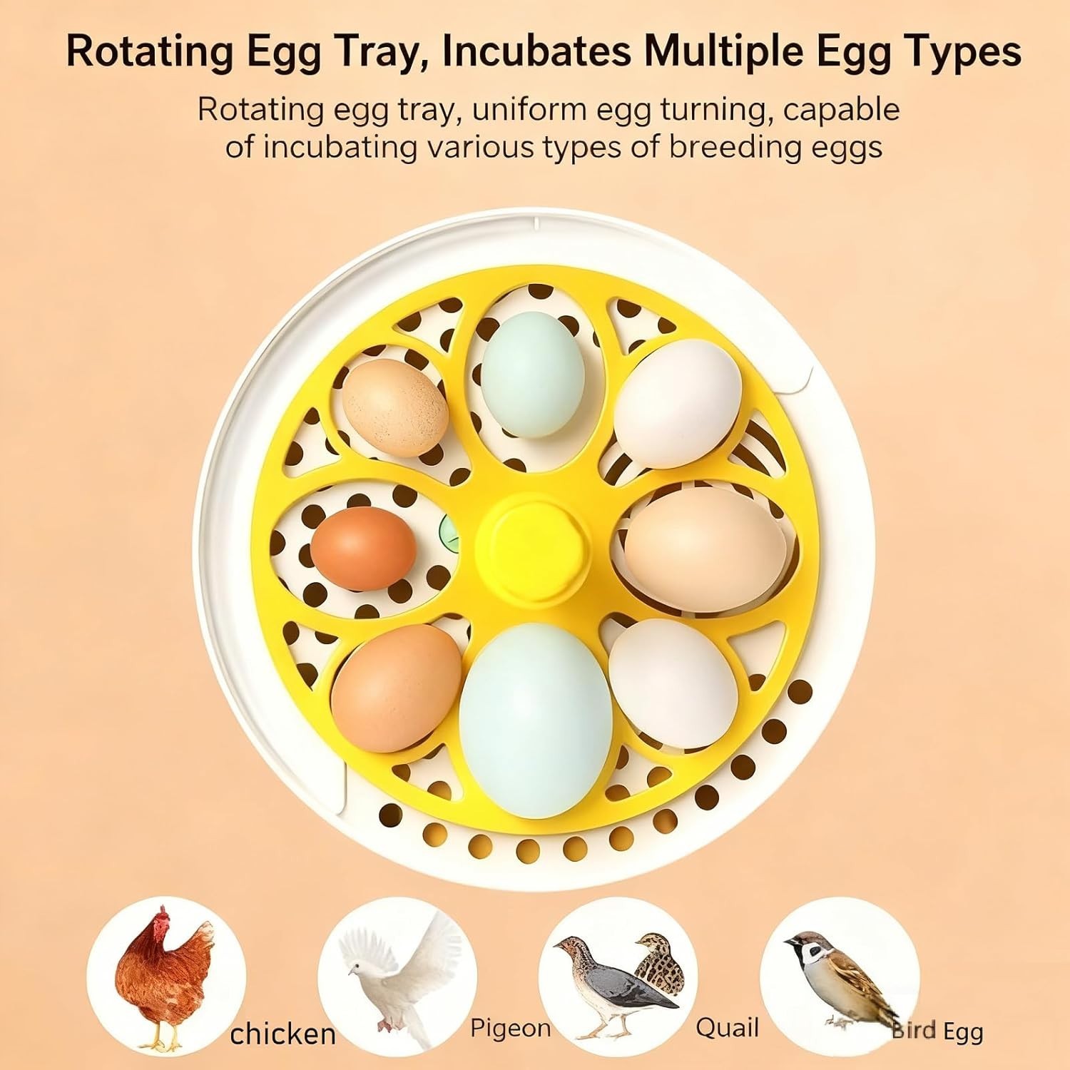Incubators for Hatching Eggs, Egg Incubator with Automatic Egg Turning and Humid