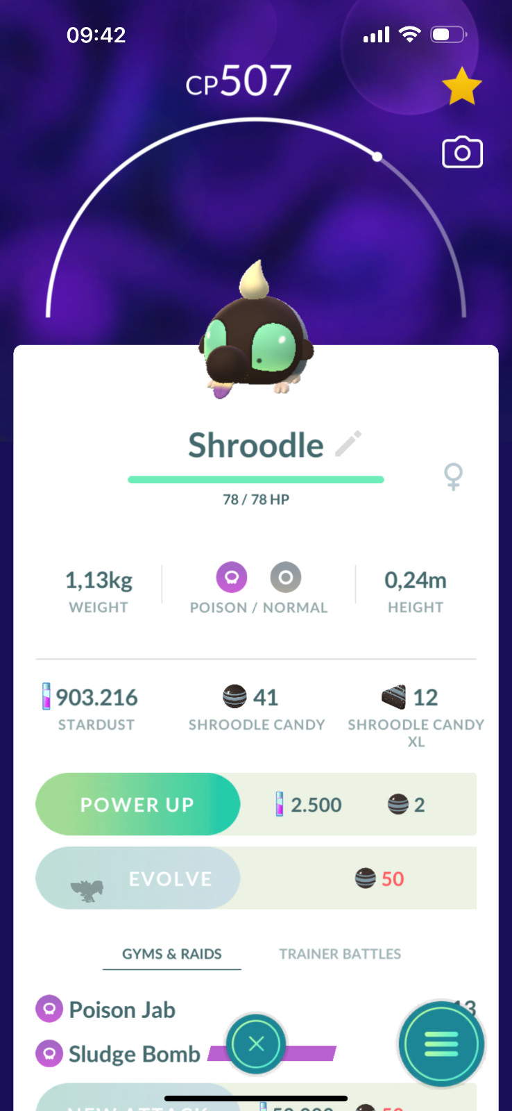 Shroodle | Tr-de 20K Stardust (Random)