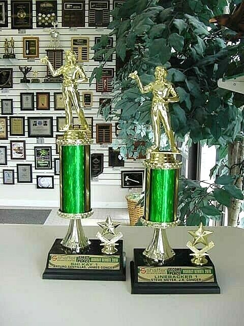 DART TROPHY MALE OR FEMALE FREE LETTERING TWO SIZES 1ST AND 2ND PLACE 13" & 12"^