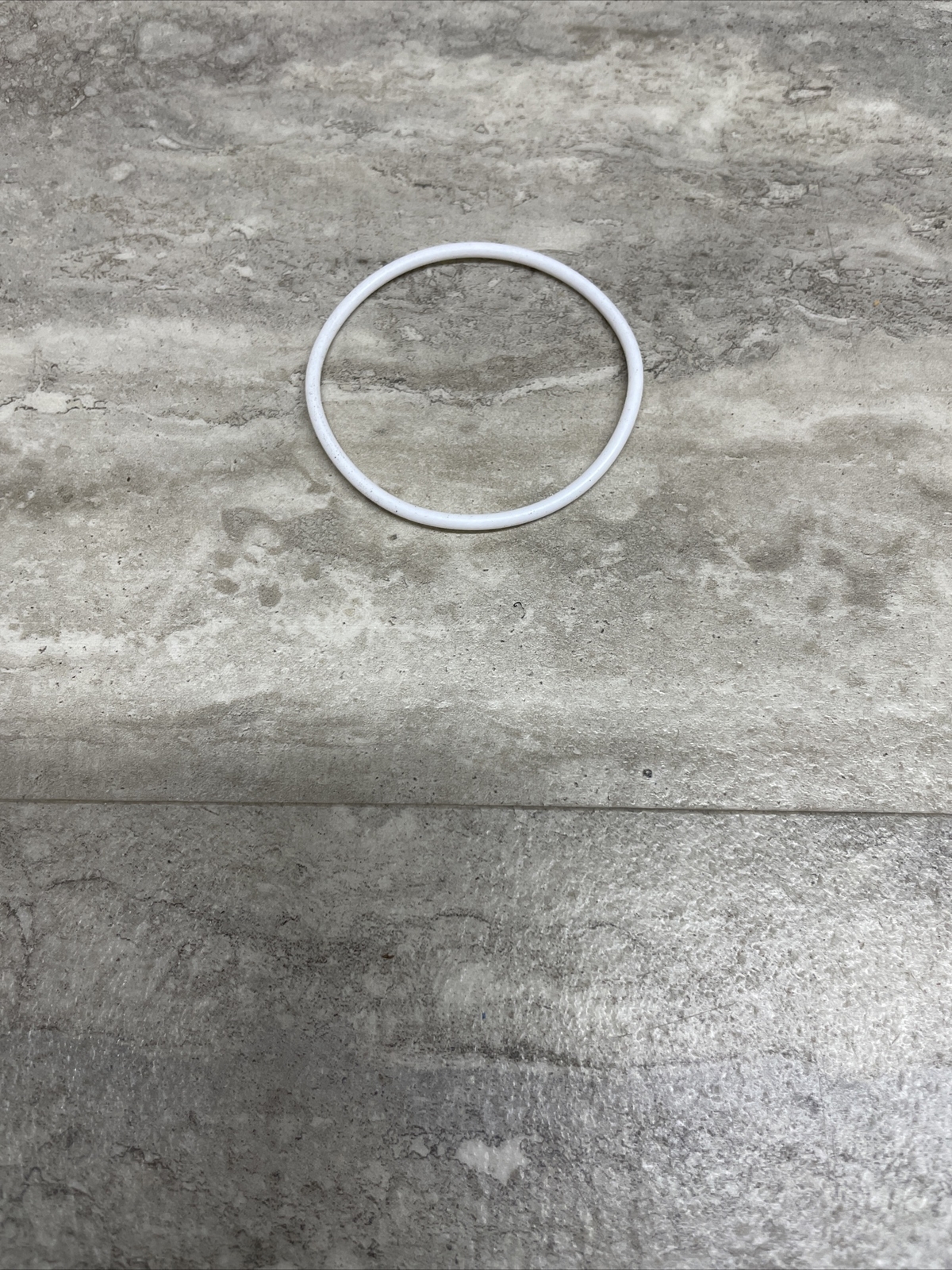 Genuine OEM Titan 891-373 O-Ring, New