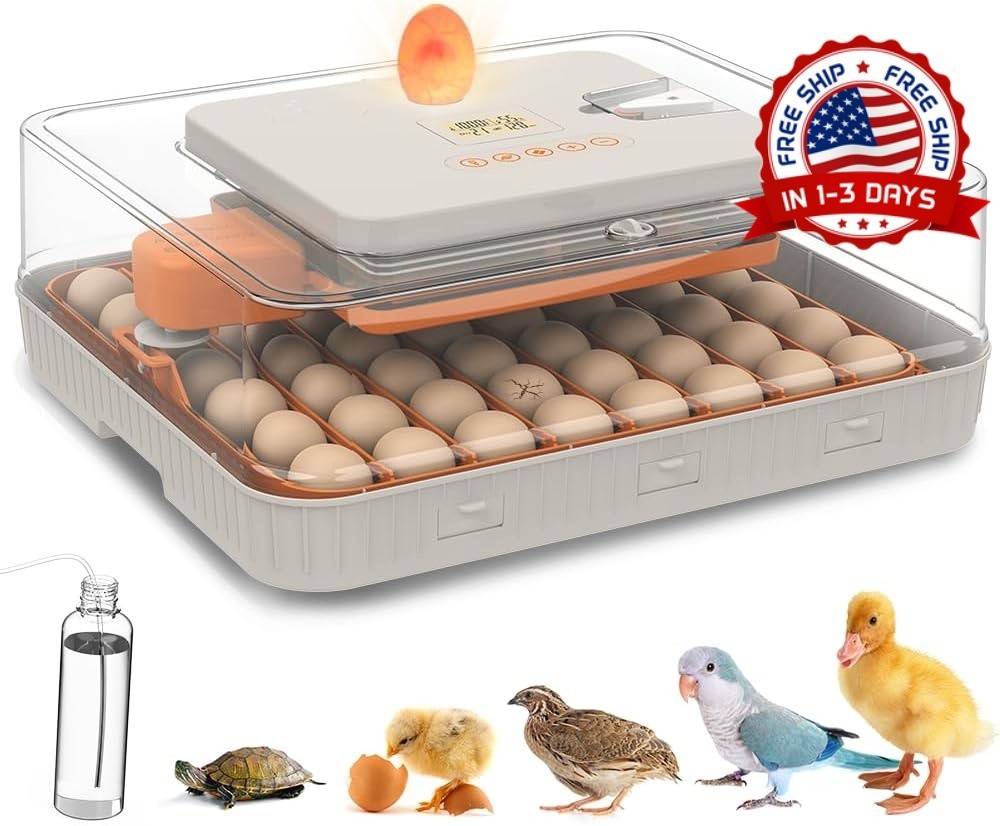 Incubadoras para huevos para incubar, incubadora de 56 huevos