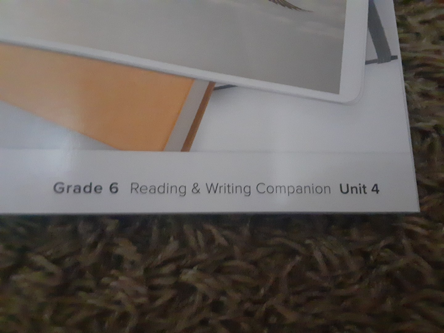 Study Sync, Grade 6, Unit 4, Reading and Writing Companion, Personal Best, New