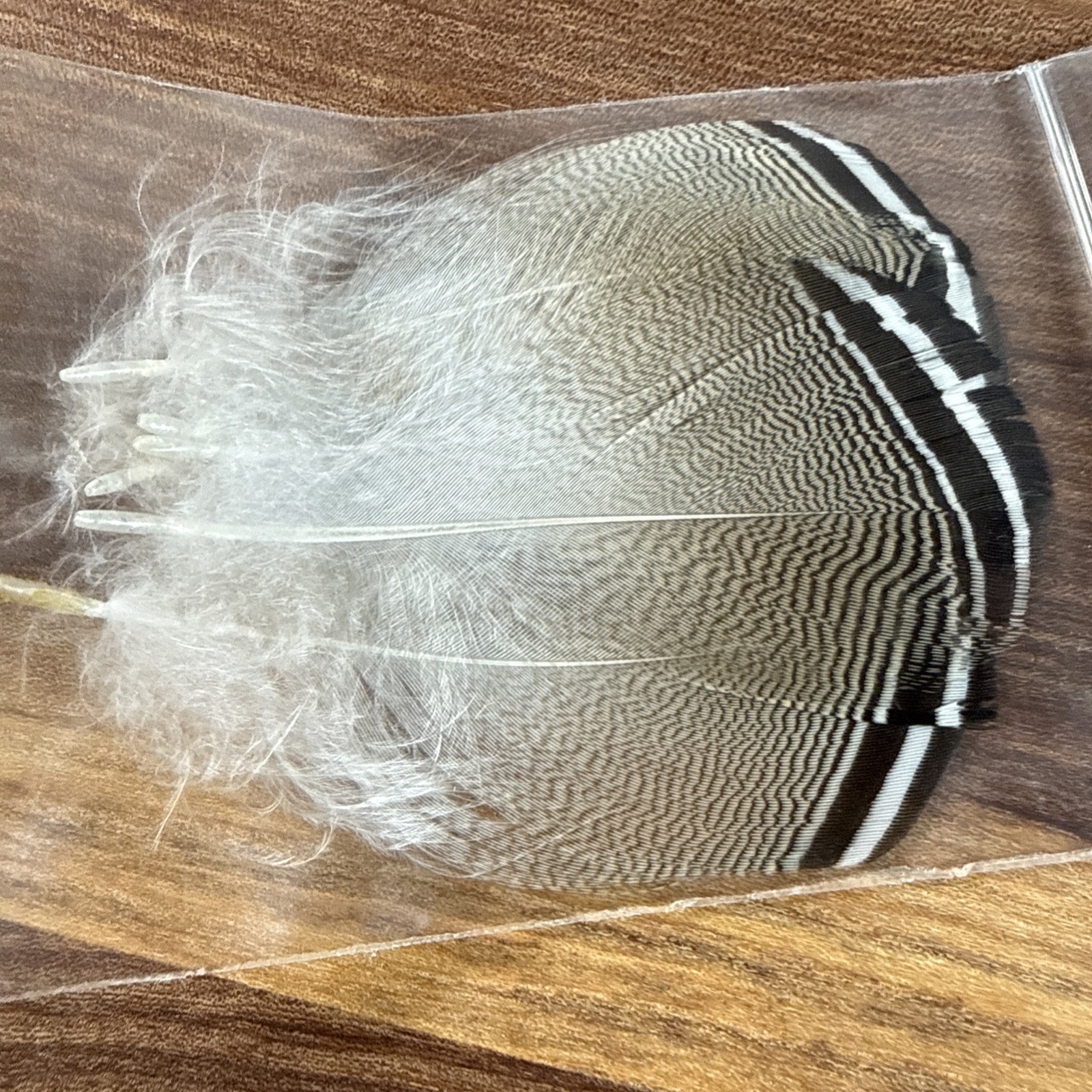 Black & White Wood Duck feathers / Fly Tying