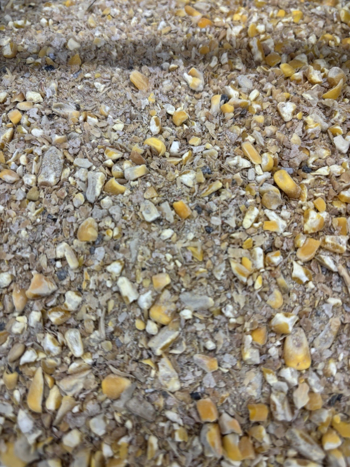 5LB Laying Mash W/Cracked Corn And Calcium Feed Mix Poultry Food 16% Protein