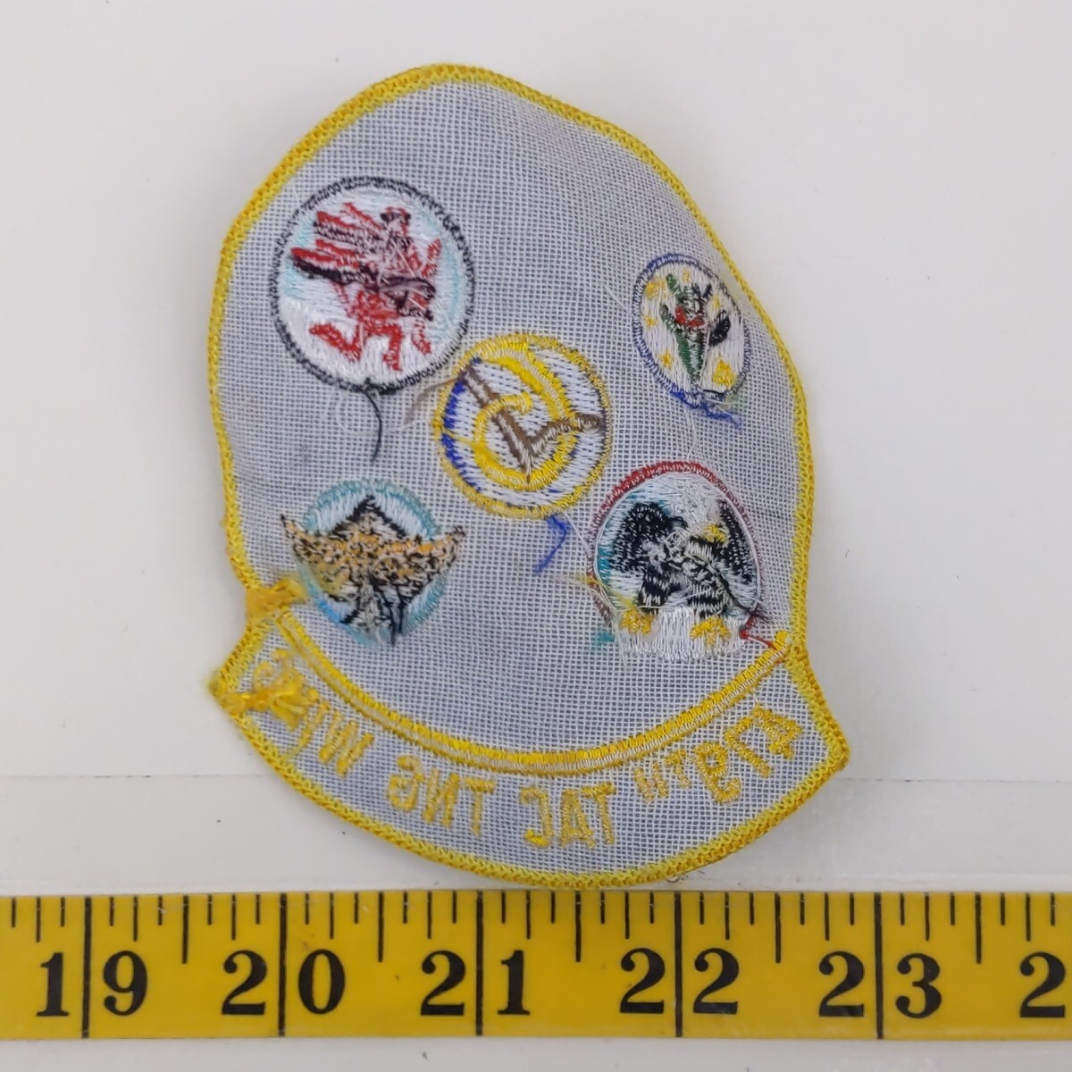 479th Tactical Training Wing USAF Military Patch Embroidered Insignia Badge