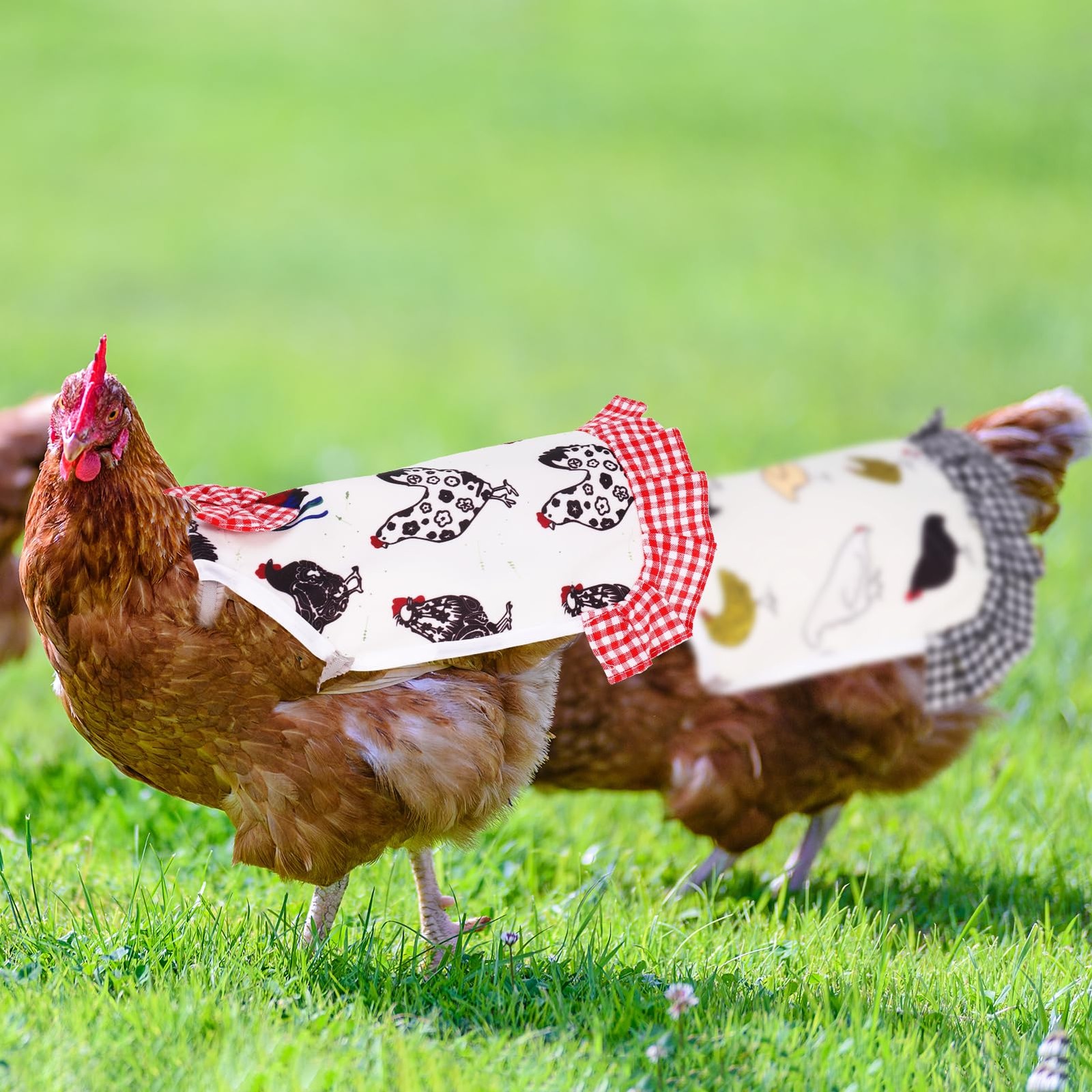 6 Pcs Chicken Saddle for Hens, Chicken Aprons Back Protector for Hens, Chickens