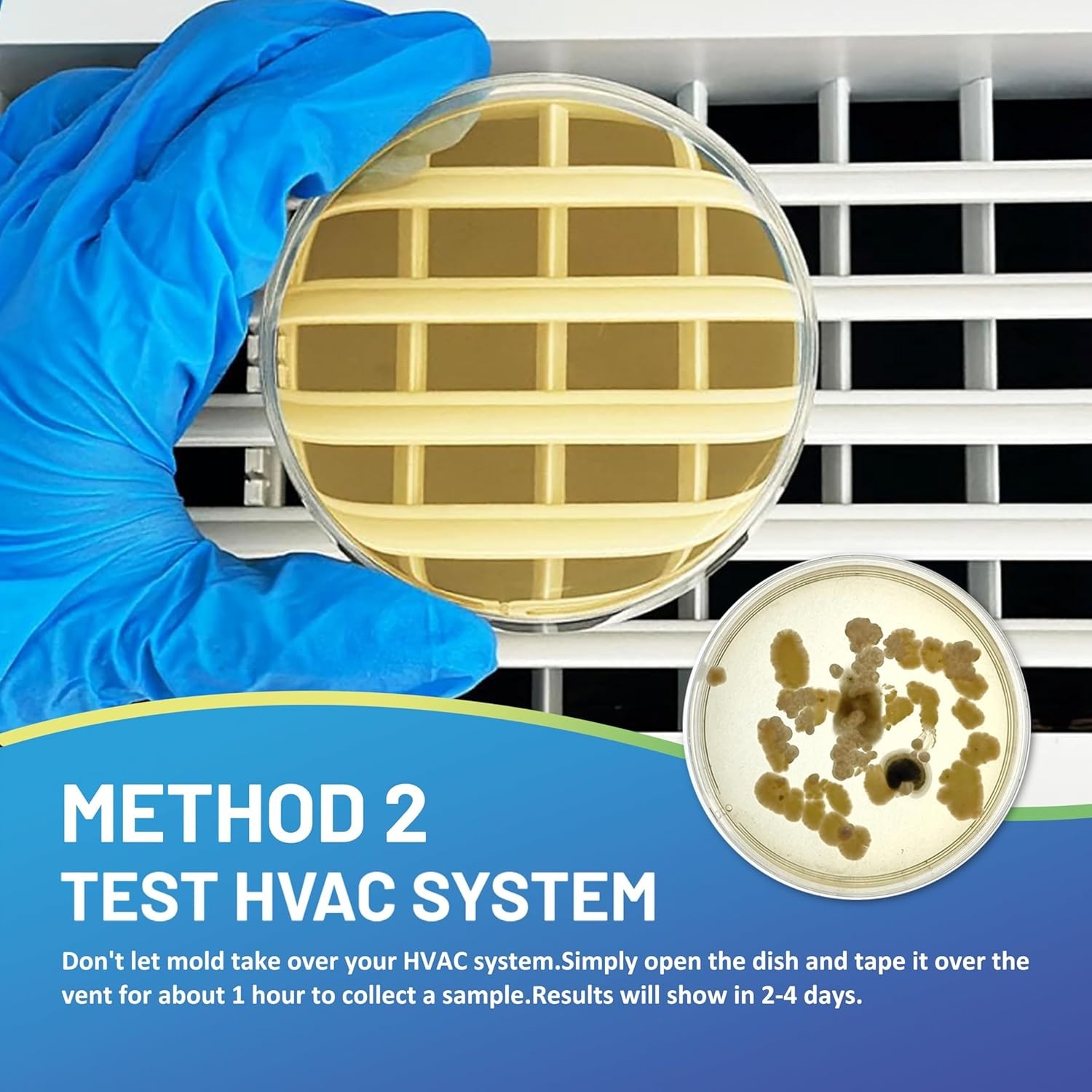 Mold Kit with Comprehensive Guide & Fast Results: Protect Your Home Today