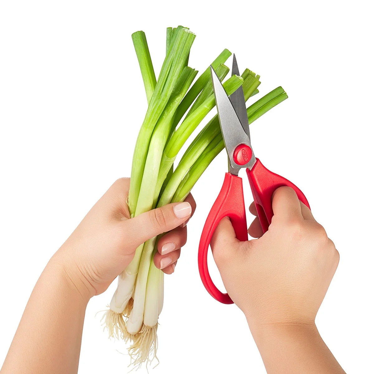 OXO SoftWorks Stainless Steel Kitchen Shears, 1 Count, Red