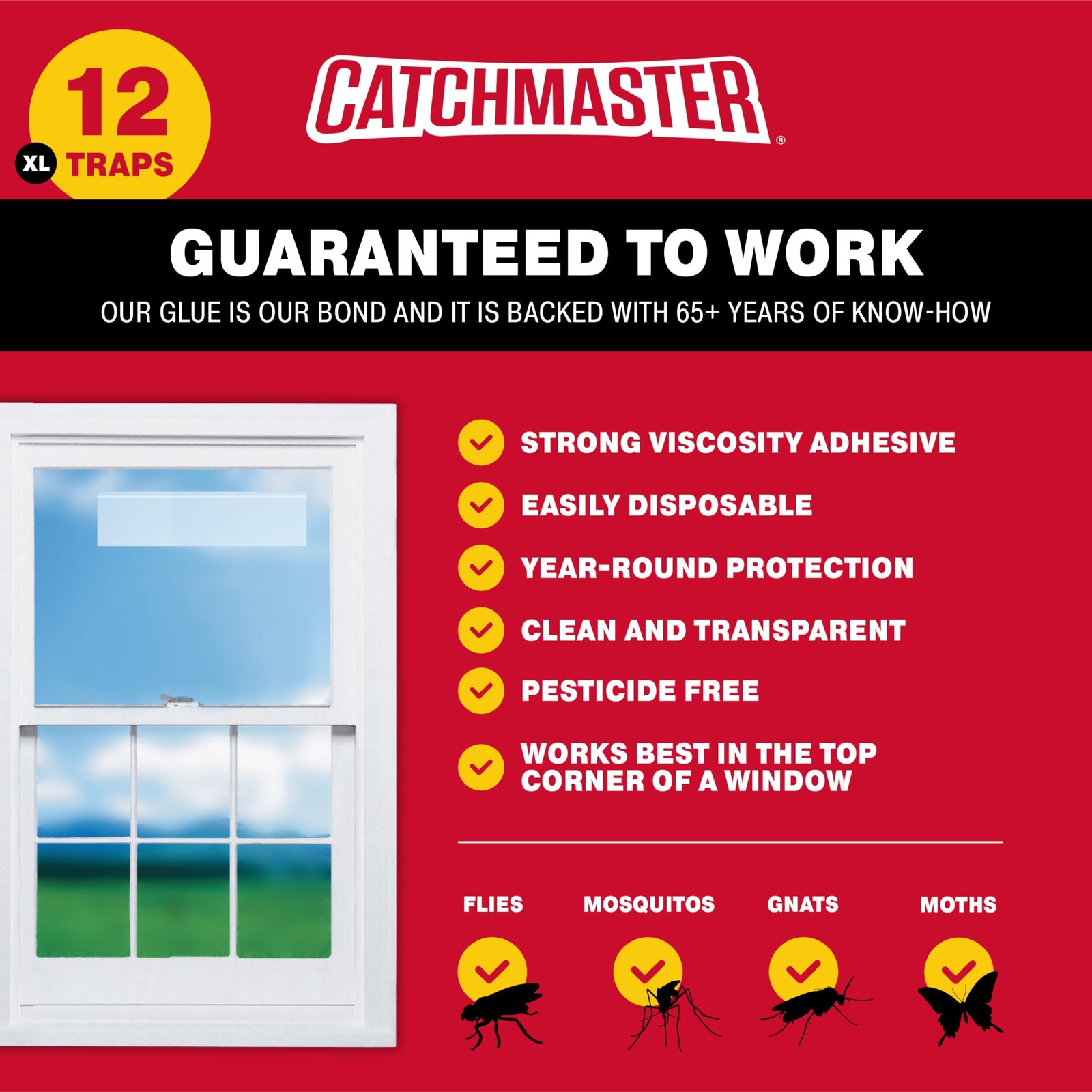Catchmaster Window Fly Traps 12-Pack Xl Fruit Fly Traps For Indoors Disposable