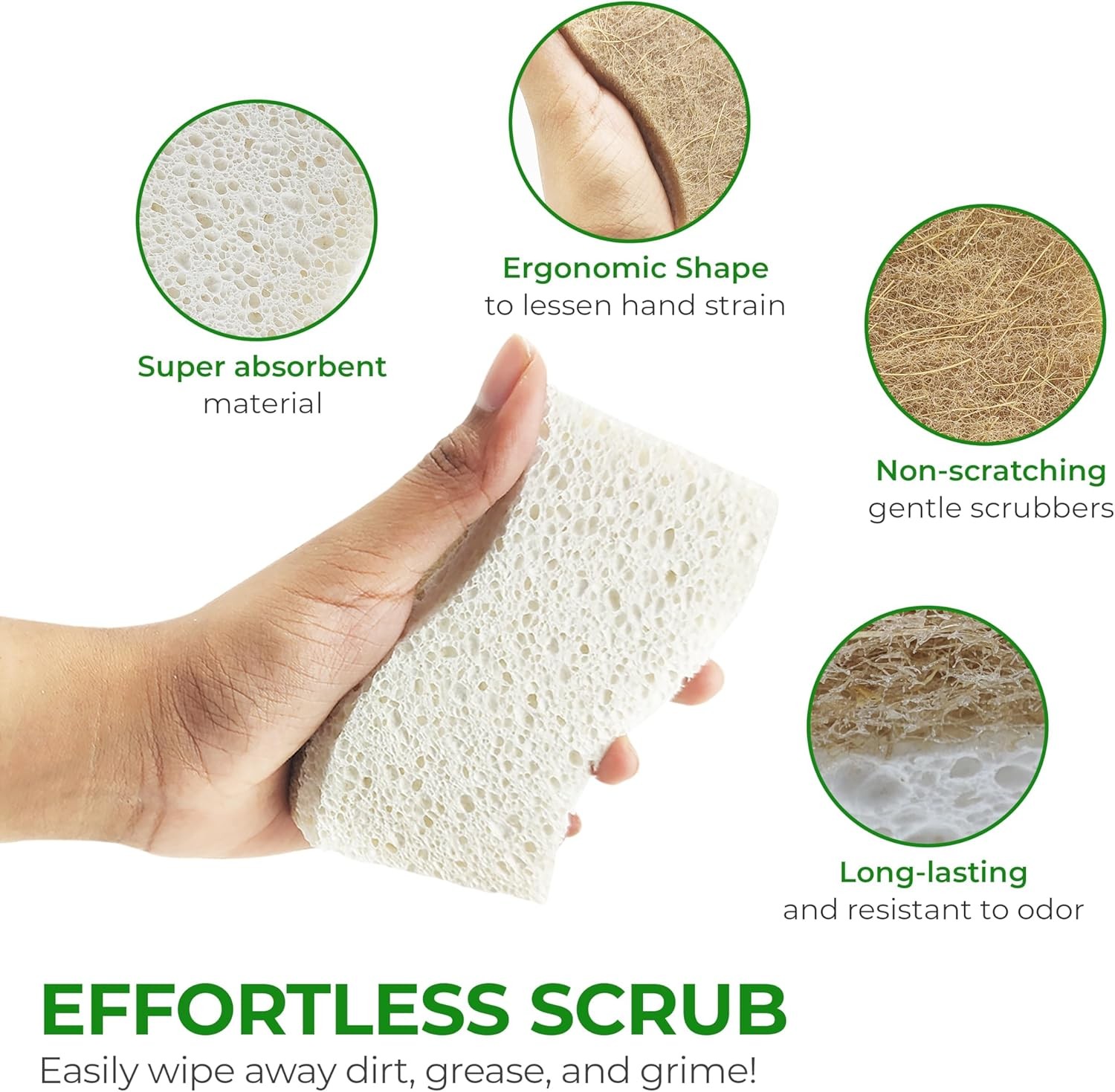 Biodegradable Natural Kitchen Sponge - Compostable Cellulose and Coconut Walnut