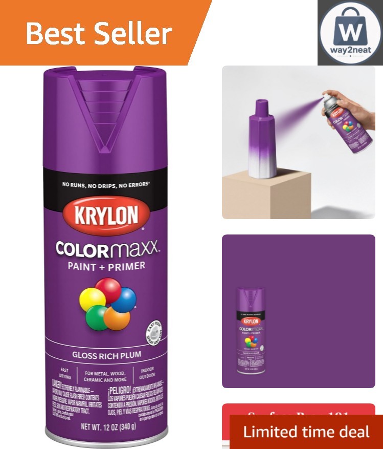 Krylon COLORmaxx Gloss Rich Plum Spray Paint & Primer - 12 Oz for Indoor/Outdoor