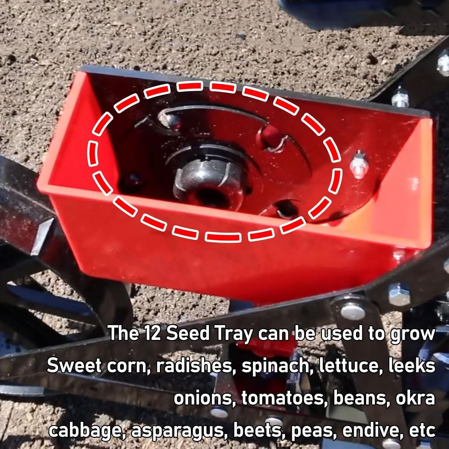 Durable Black Seed Plates Set - Even Spacing for Sweet Corn, Spinach, and More