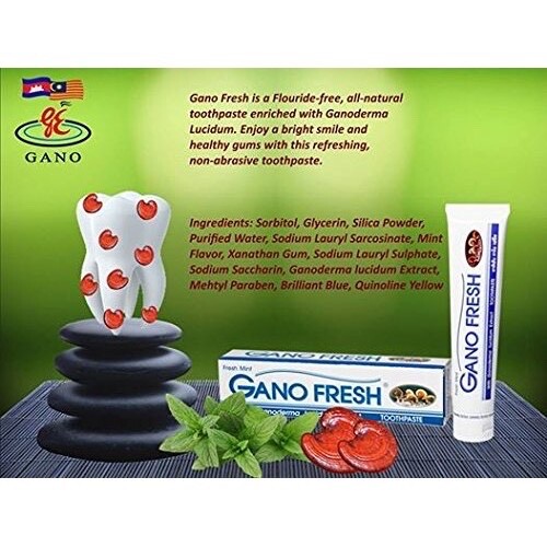 2 Boxes x 150g GANO EXCEL GANO FRESH TOOTHPASTE GANODERMA Free Shipping