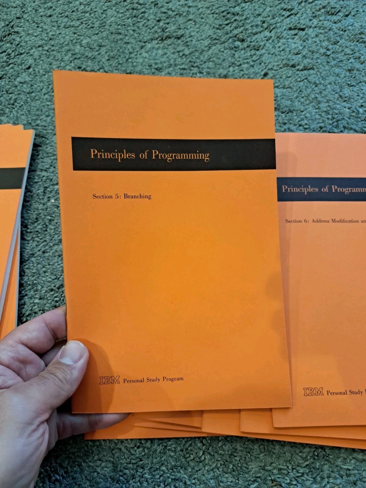 IBM Personal Study Program Principles of Programming