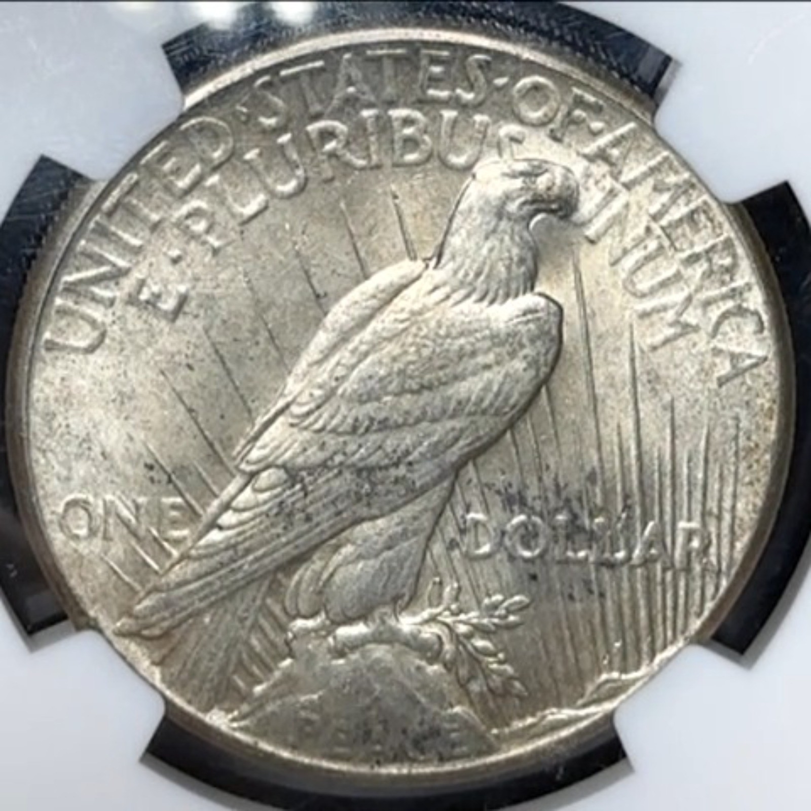 1928 Peace Dollar NGC MS64 Key Date