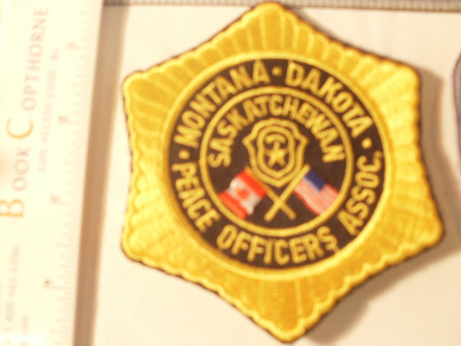 Police Sheriff Security Emblems Patches Embroidered Patch for display only