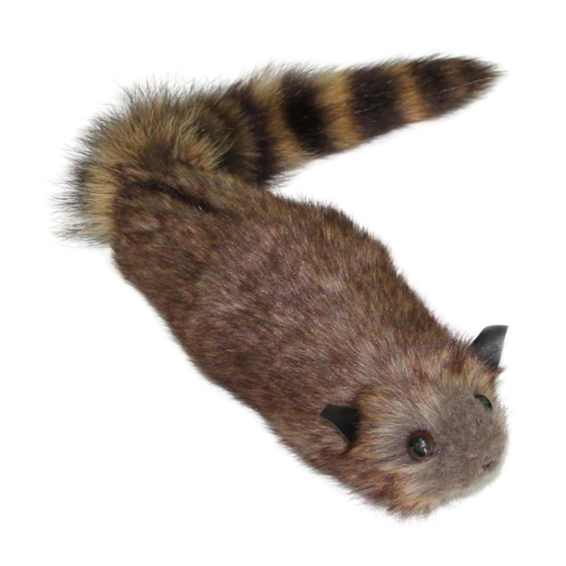 Novelty Simulation Raccoon Magic Trick Illusion Gimmick Magic Learner Preference