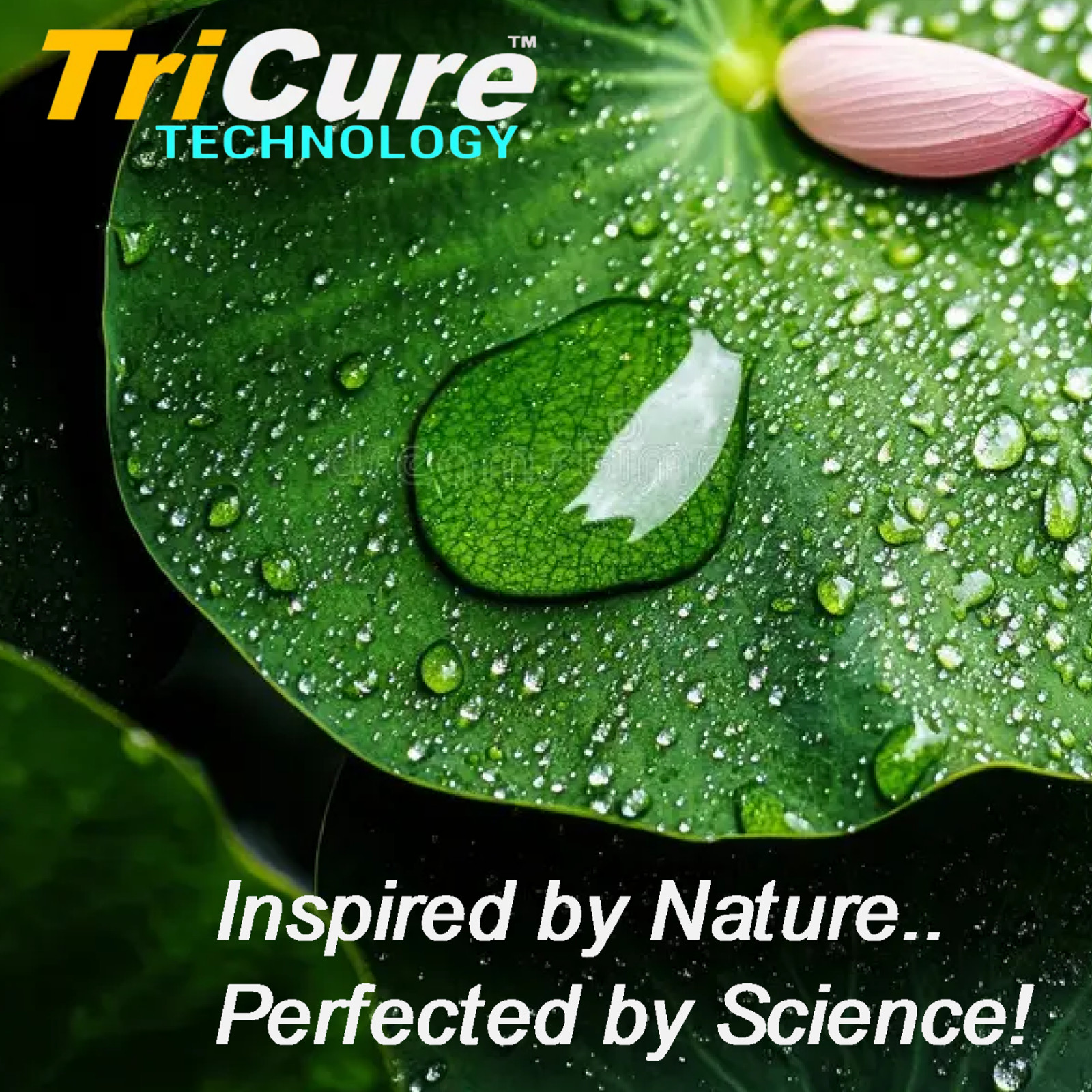 CERAMIC CAR COATING 5 YEAR "TRICURE TECHNOLOGY PRO GRADE POLYSILAZANE" 1oz/30ml