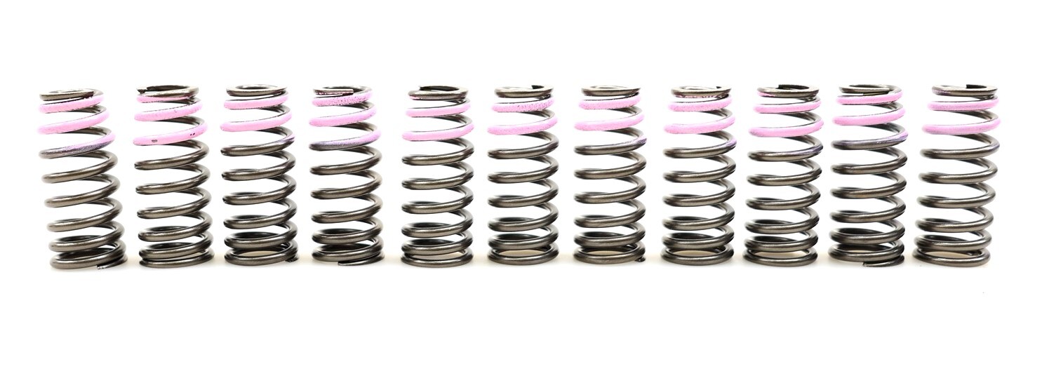 NEW OEM Exhaust Valve Springs Set of 11 9050134026 for Toyota Lexus 3.4 18-25
