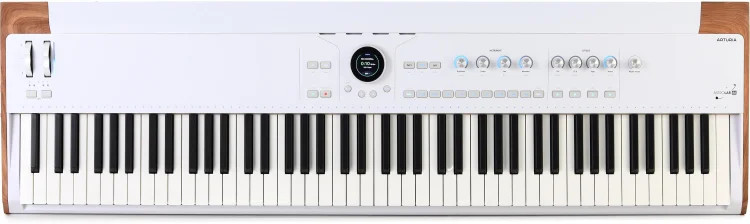 Arturia AstroLab 88 Stage Keyboard