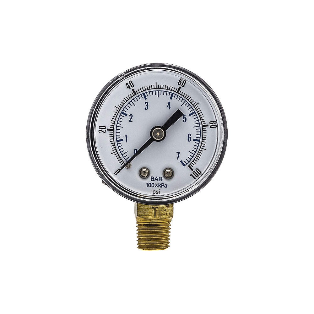 PIC GAUGES SEP-101D-204E-BSPT Pressure Gauge,General Purpose,2" Dial 54XP10