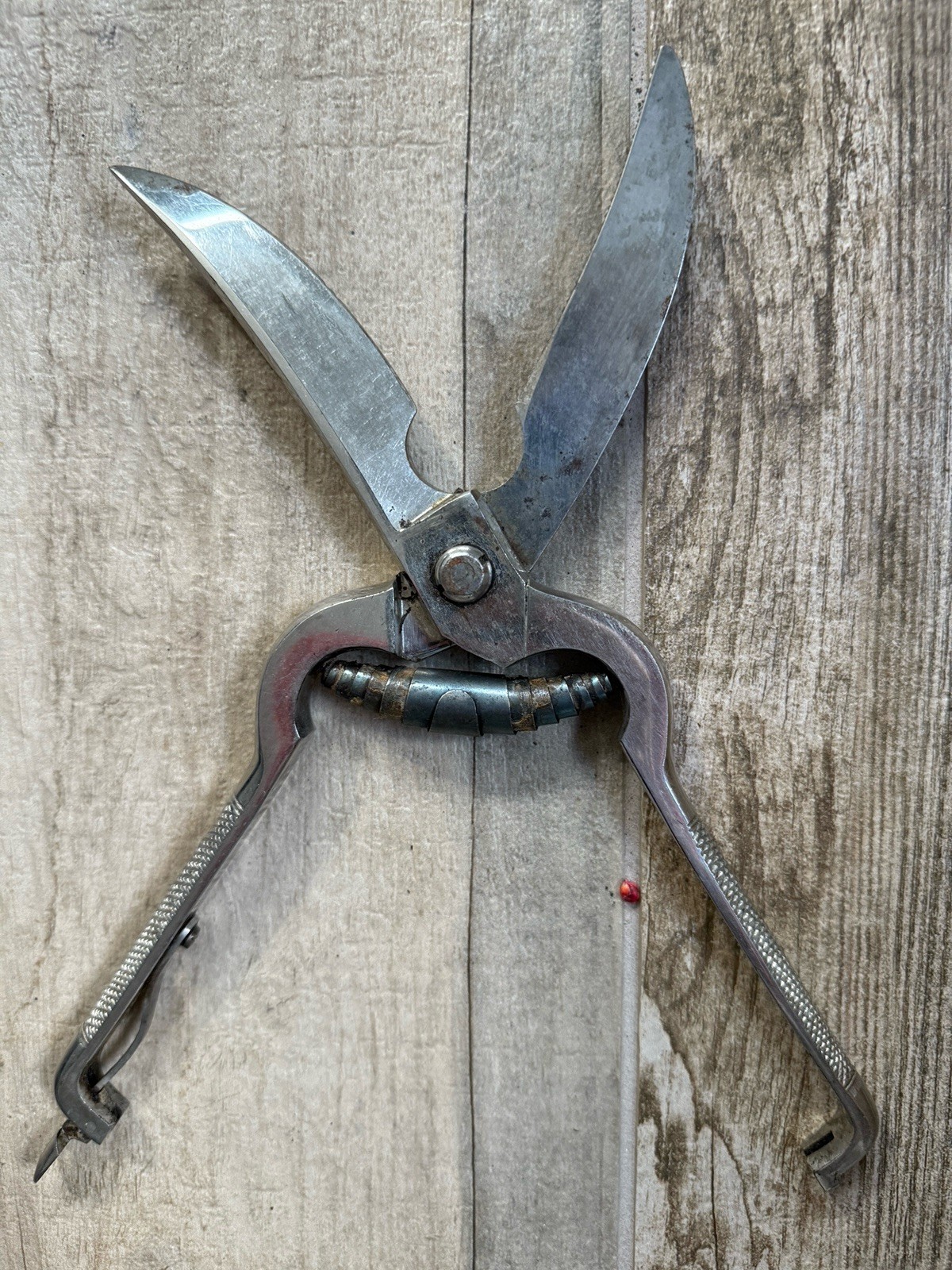 Vintage Poultry Shears Kitchen Scissors Locking stainless steel