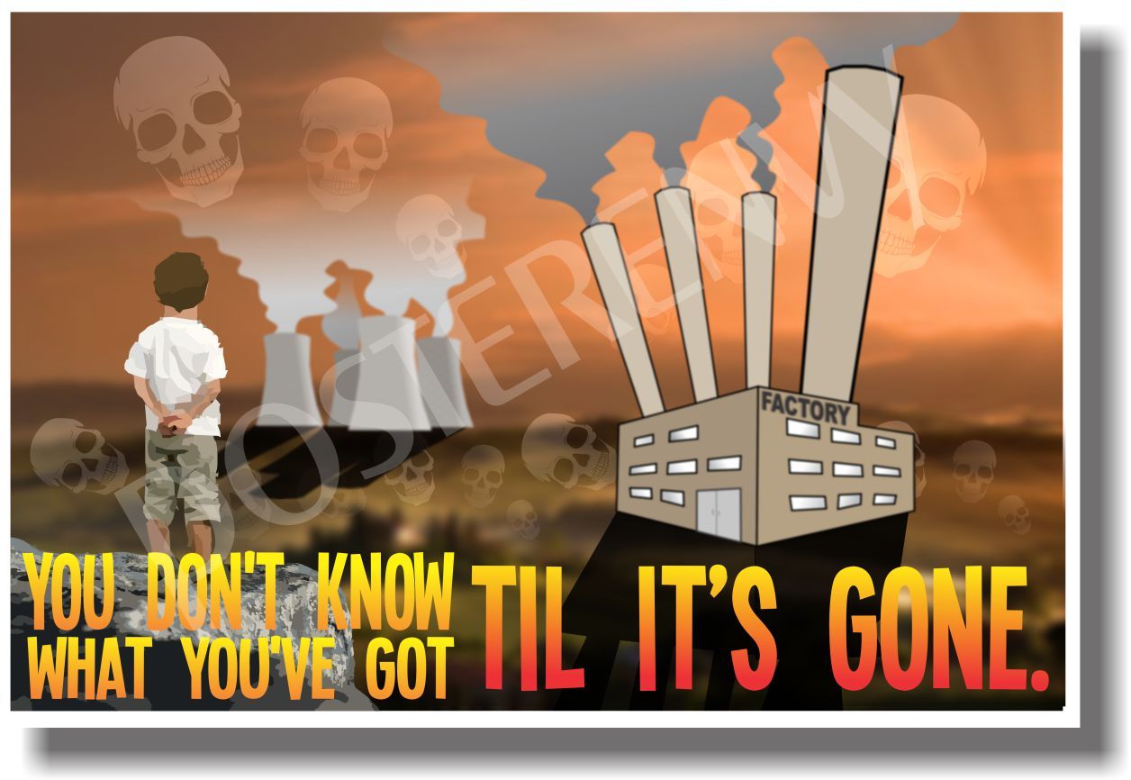 You Don't Know What You've Got - NEW Classroom Environmental Poster