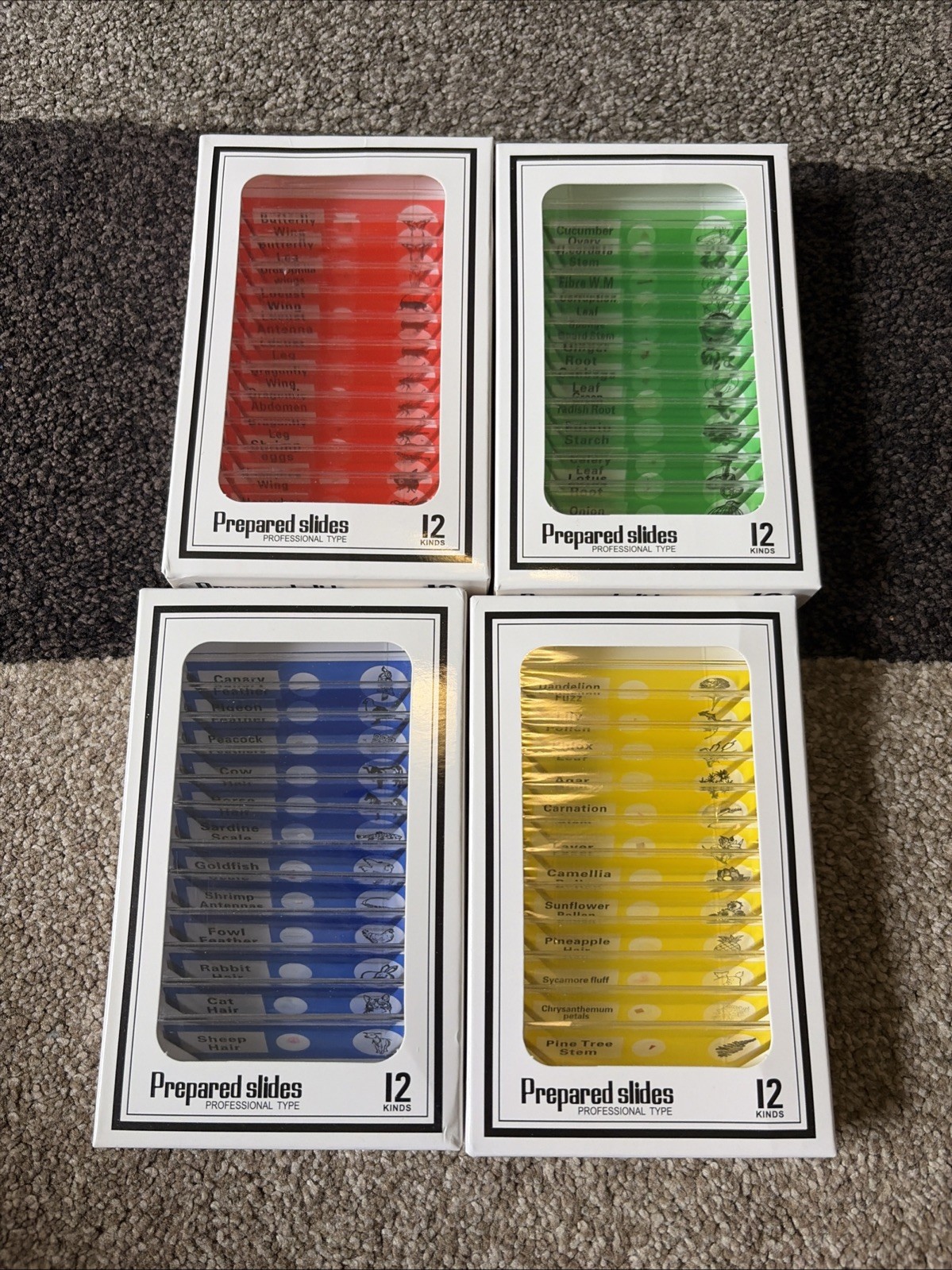 48Pcs Prepared Microscope Slides Specimen Animals Insects Plants Flowers, Etc.