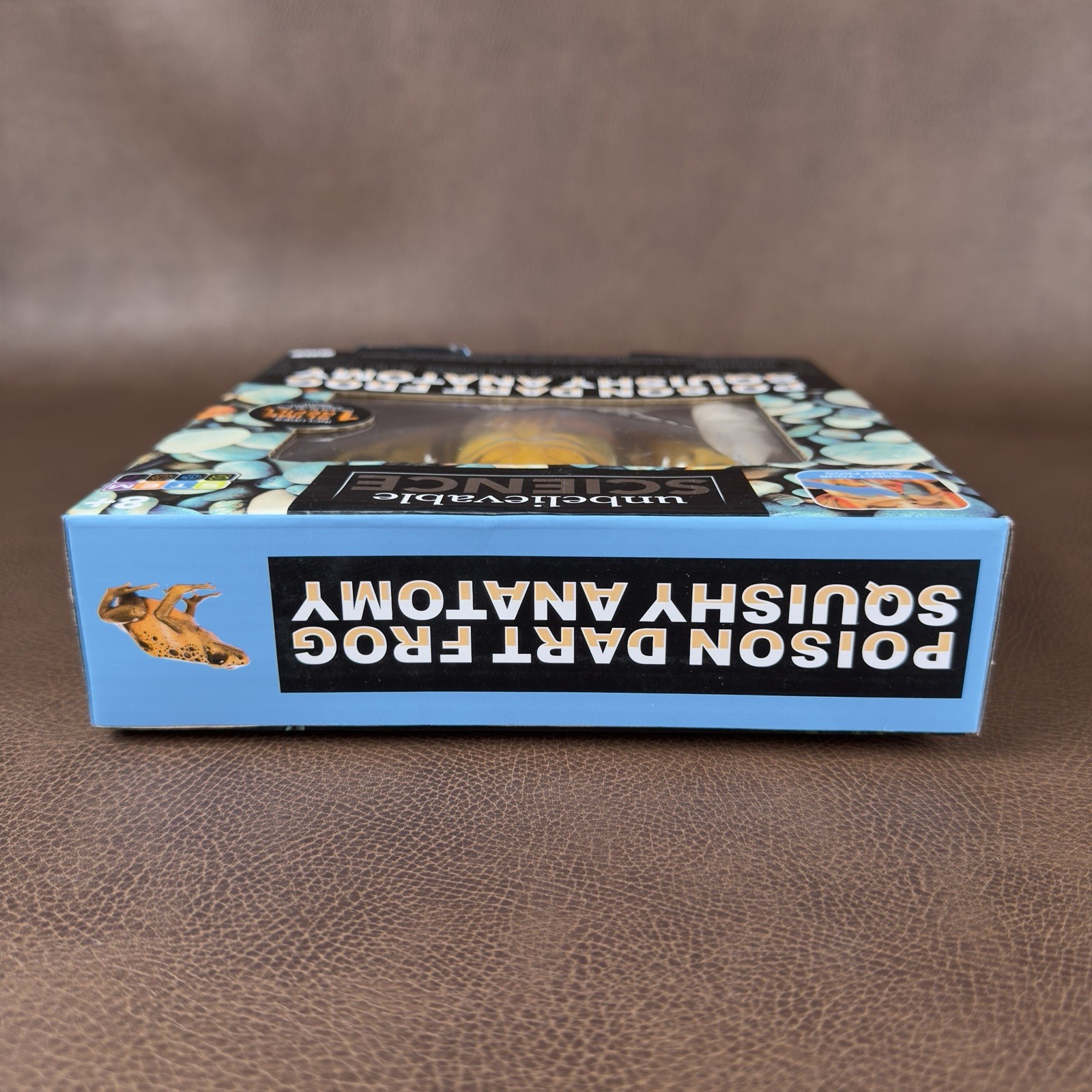 Unbelievable Science Poison Dart Frog Squishy Anatomy Dissecting Kit Educational