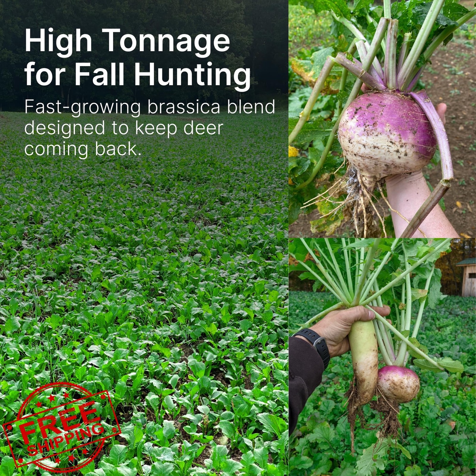 Hit List Seed Food Plot Seed 1 Acre 6 lbs