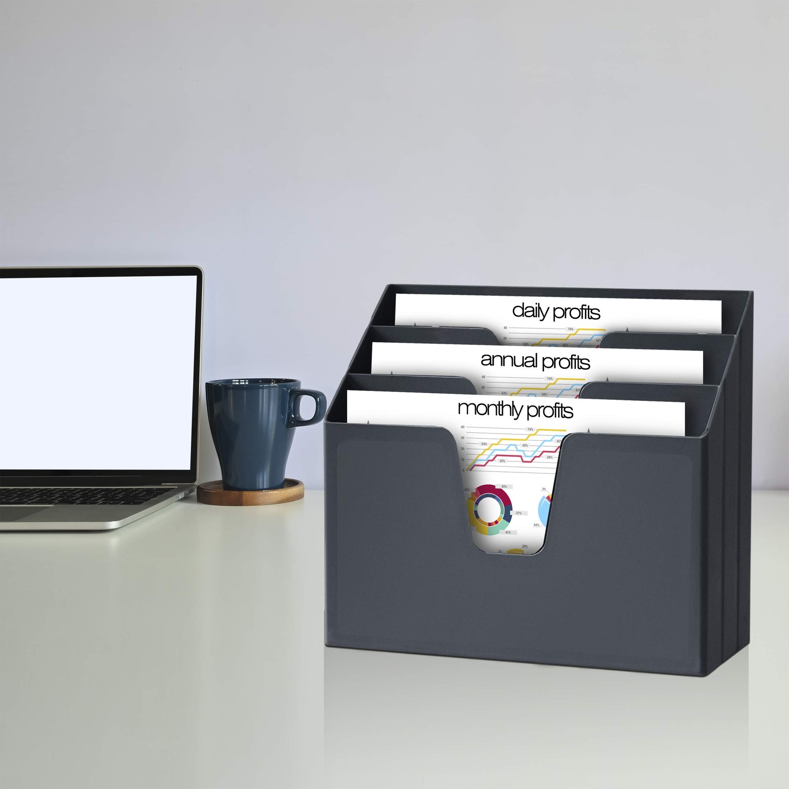 Horizontal Triple File Folder Holder Organizer black Color
