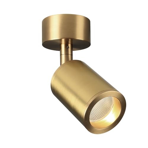 Aisilan Solid Copper Surface Mounted Angle Adjustable 7W-3000K Warm White Gold
