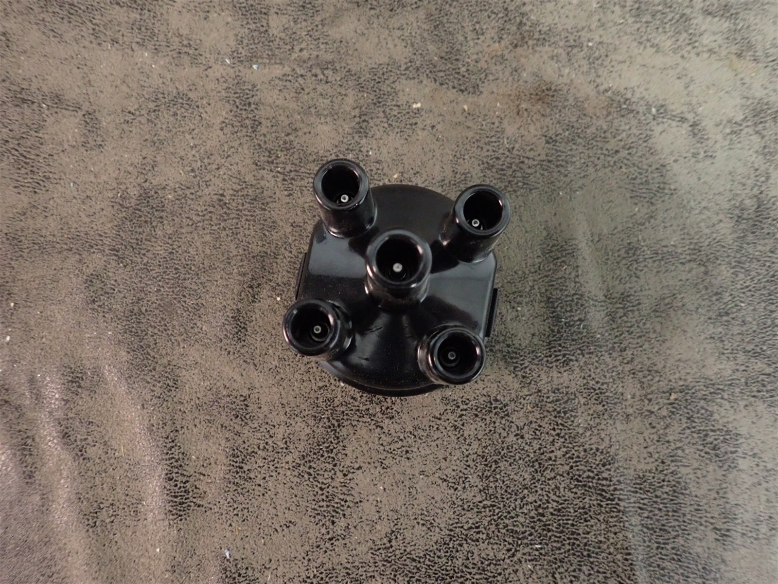 NEW WVE 5D1314 Distributor Cap (G208)