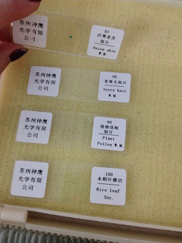 100PCS Educational Specimen Lab Biological Prepared Glass Microscope Slides