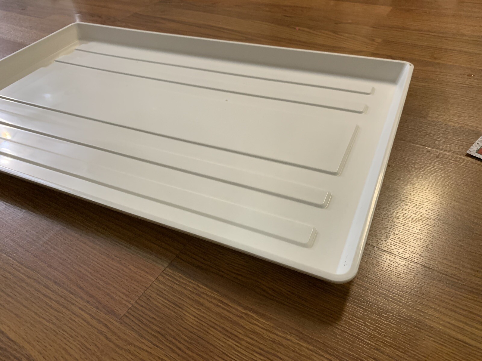 Replacement Seed Trays For 24" x 16" Bird Cage White