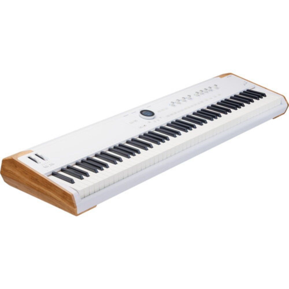 Arturia Astrolab 88 Avant-Garde Stage Keyboard with Analog Lab Pro Integration