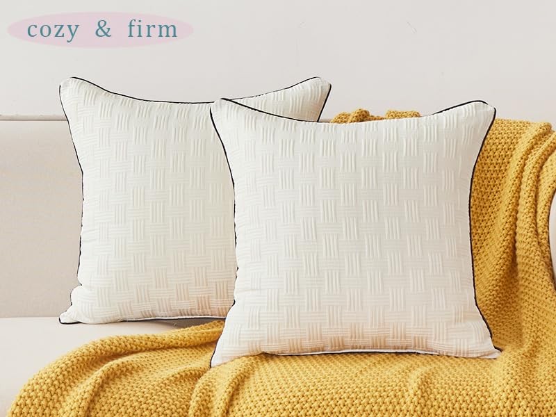 22x22 Pillow Inserts Set of 2 - Square Decorative Throw Pillows 22*22(2 Packs)