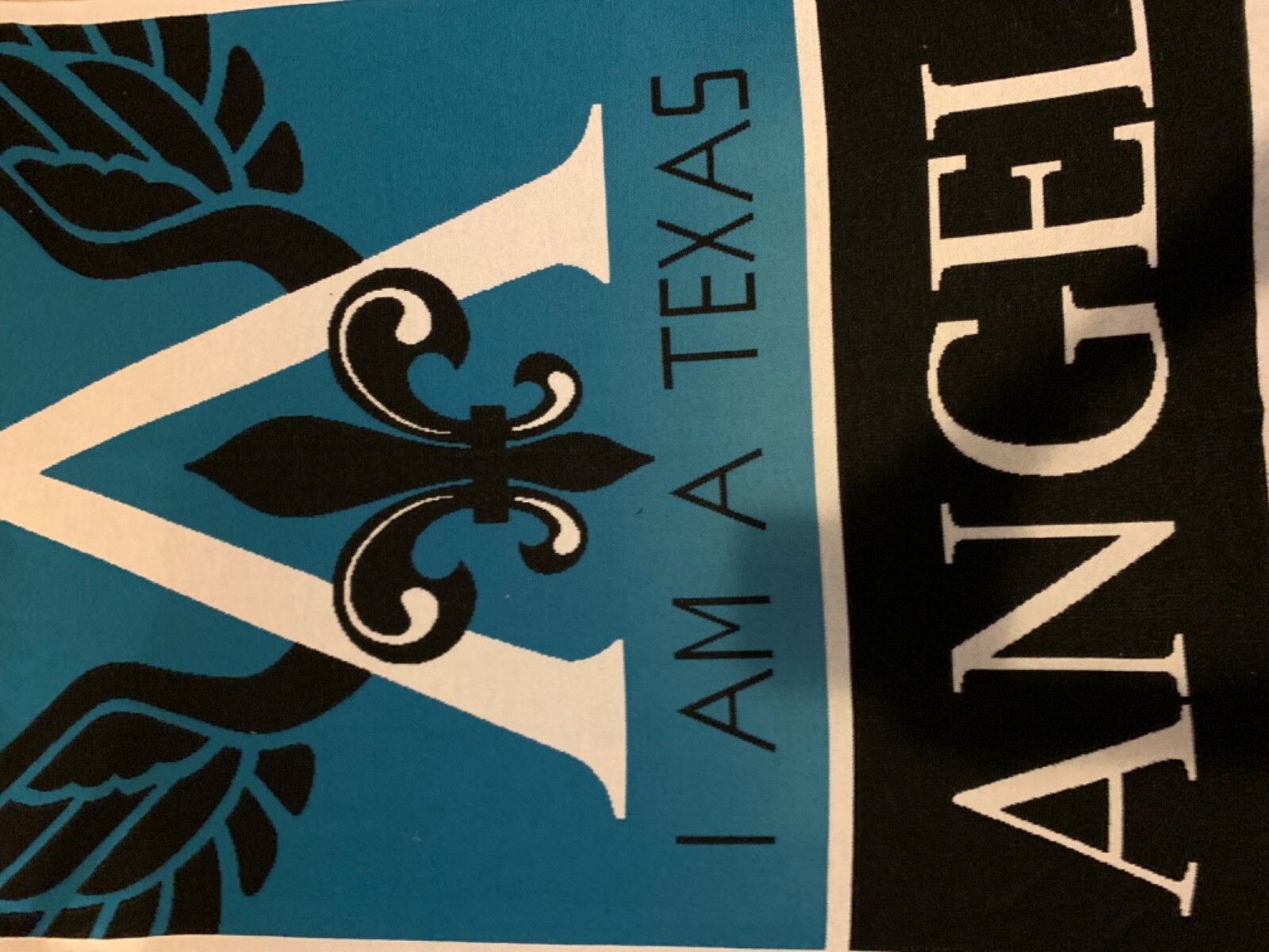 Texas Angel Throw Blanket