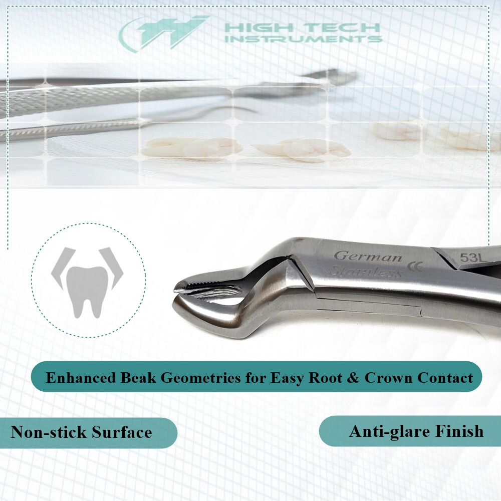 Dental Extracting Forceps #53L German Stainless Steel Surgical Molar Extraction