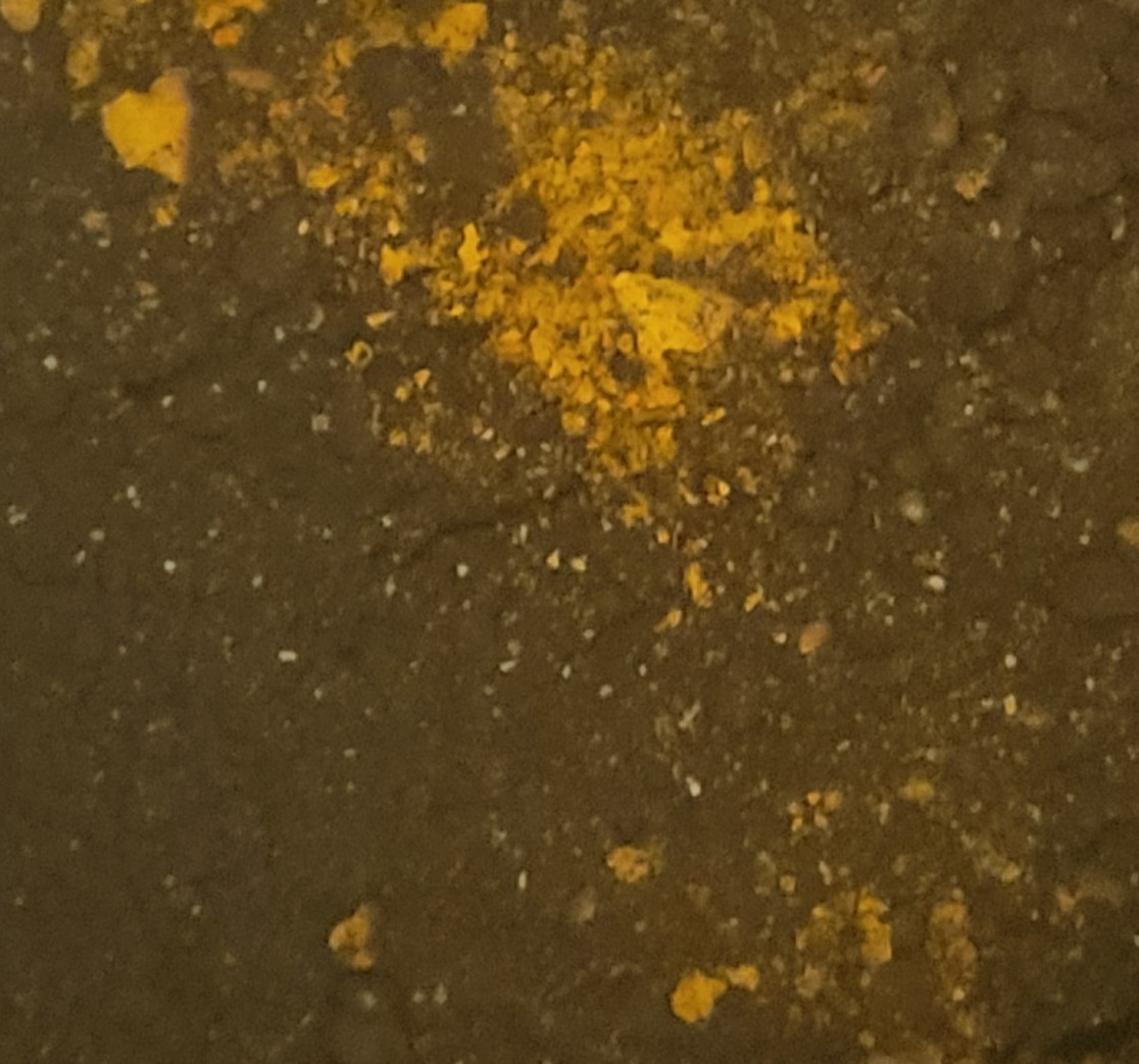 Ferric Chloride Anhydrous Powder - Lab Chemical 100g