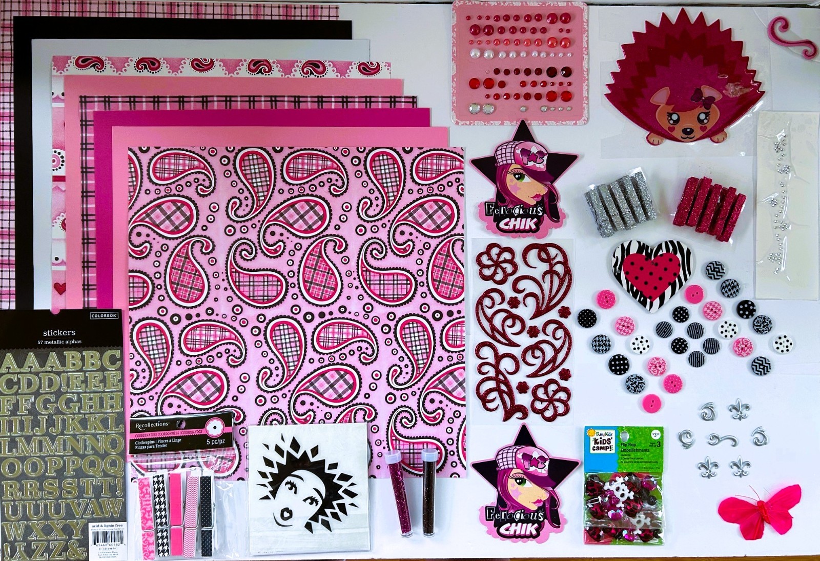 LOT  230 PC TWEEN GIRLS PAISLEY PLAID SCRAPBOOK PAPERS, STICKERS, EMBELLISHMENT