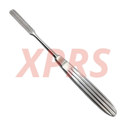 Maltz Raspatory, 8",D/E, 1 End Forward & 1 End Backward Cutting, Prem. German St