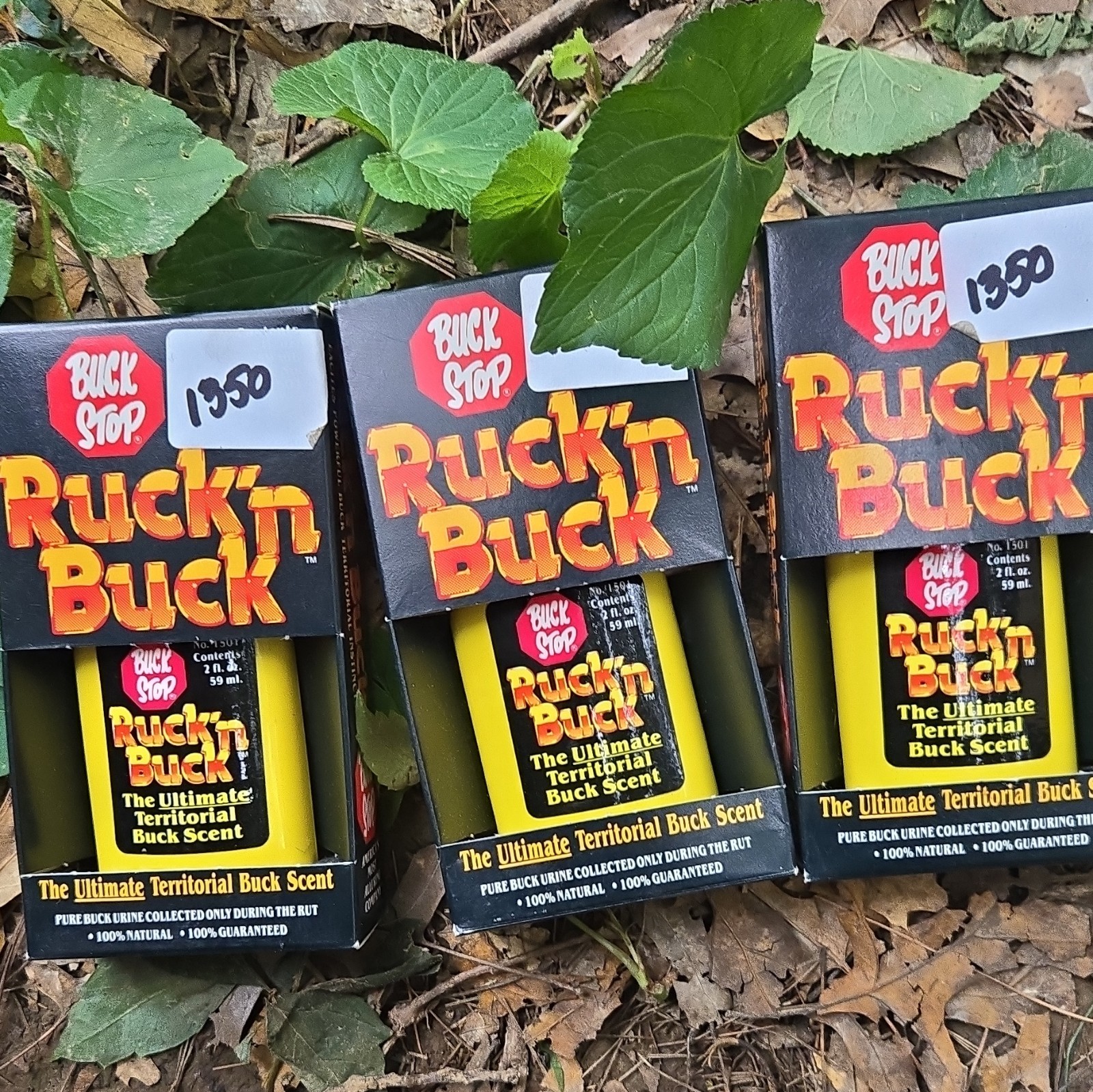 Buck Stop Ruck'n Buck Territorial Buck Urine Deer Lure/Attractant 2 fl oz