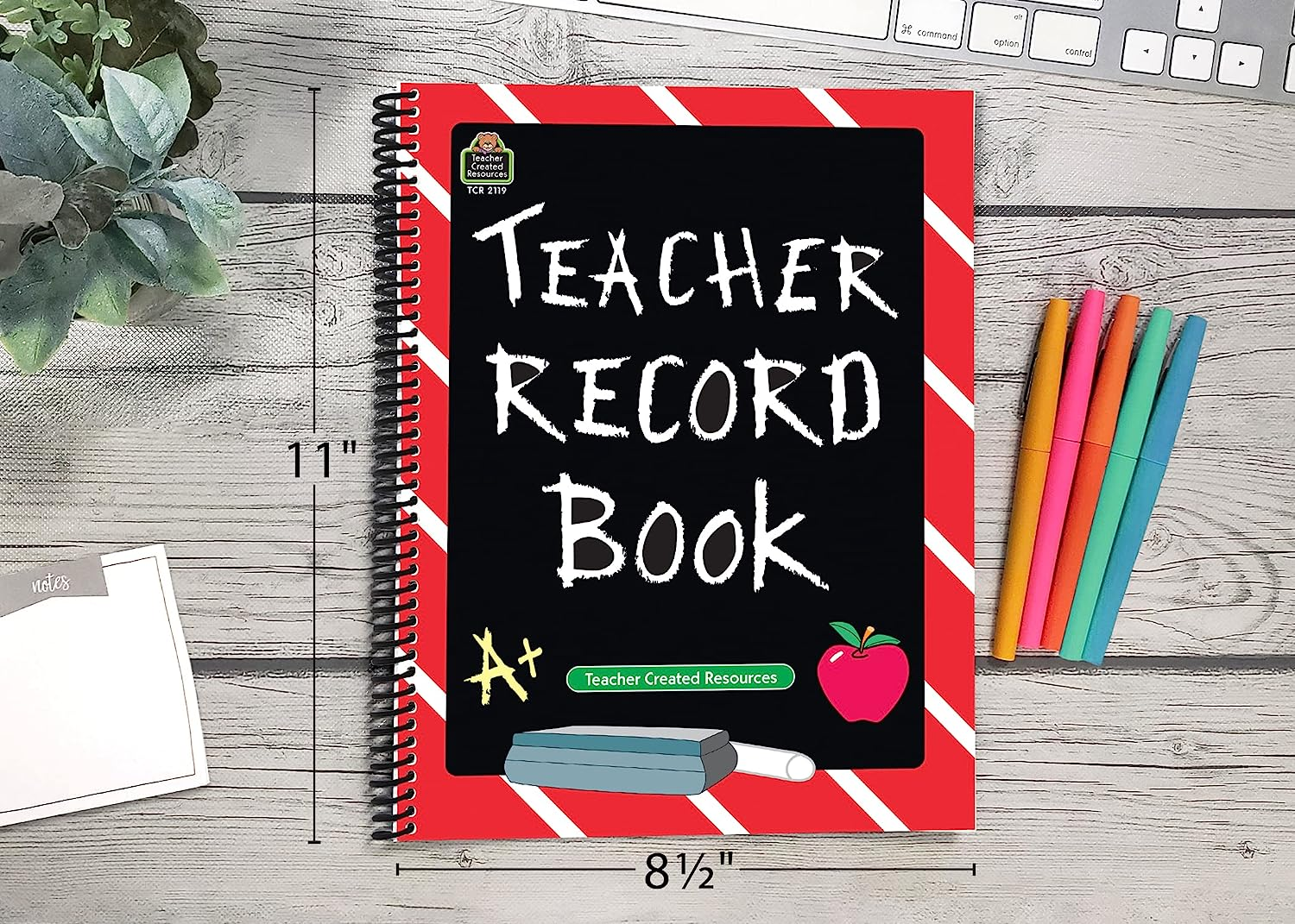 Teacher Record Book