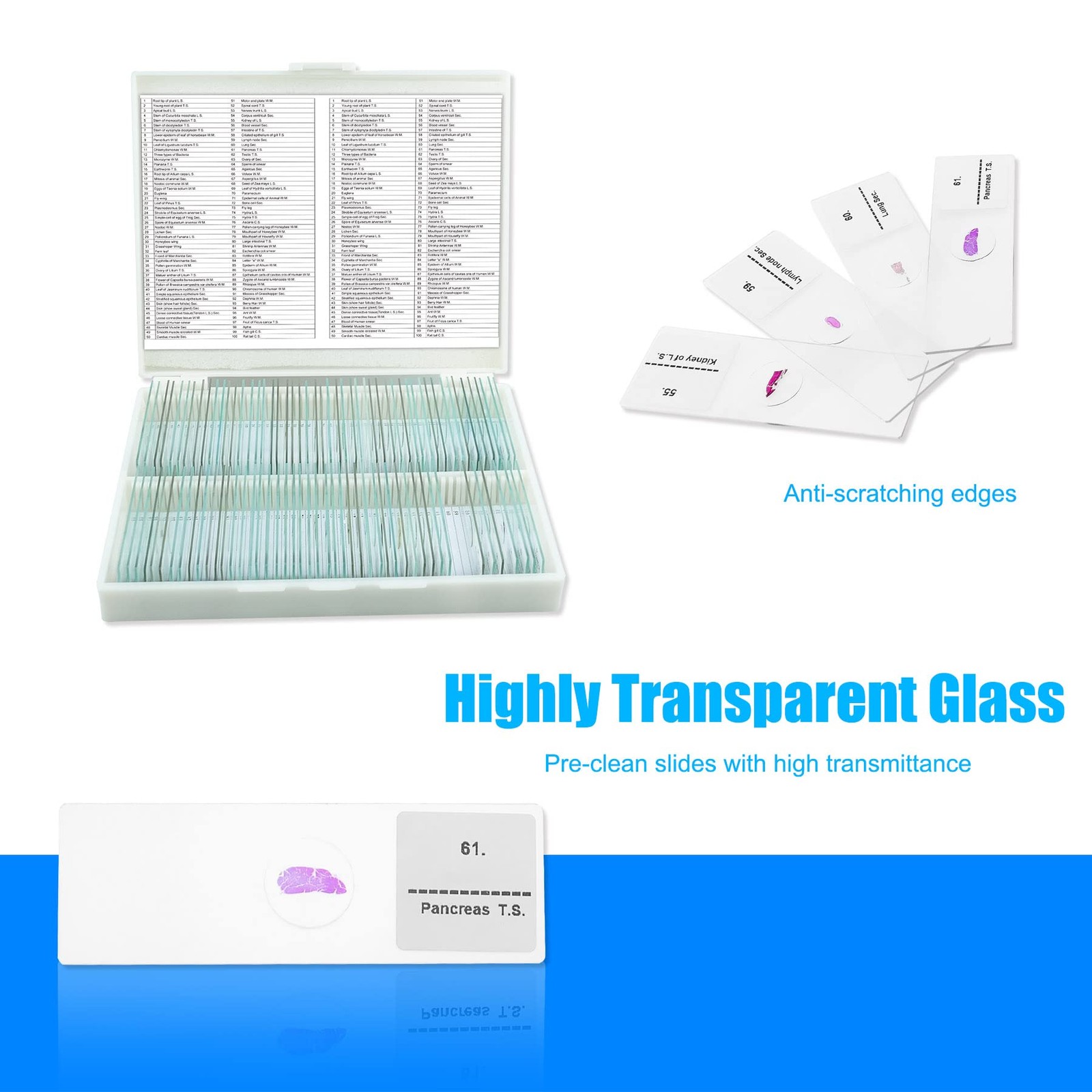 Prepared Microscope Slides 100pcs