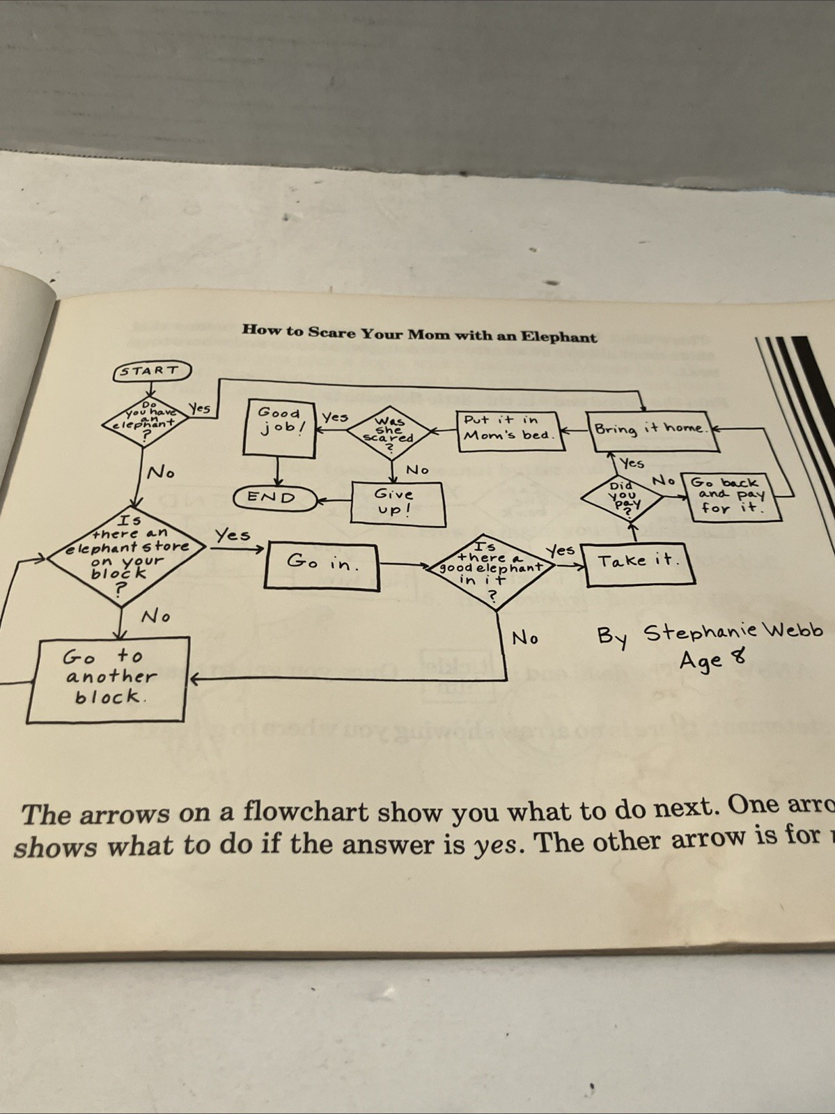 Vintage 1983 Computers For Kids VIC-20 Edition Basic Programming Manual Used