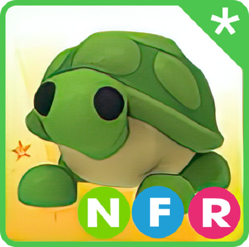 NFR Turtle- The Trusted Store!!